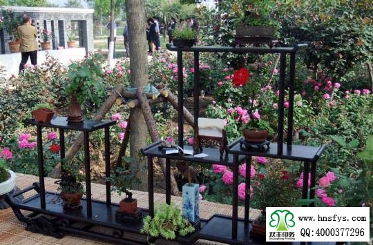 2015 南陽月季展玉雕節(jié)已開幕，花已開好 君可來矣
